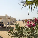 Gabbiano Atlante